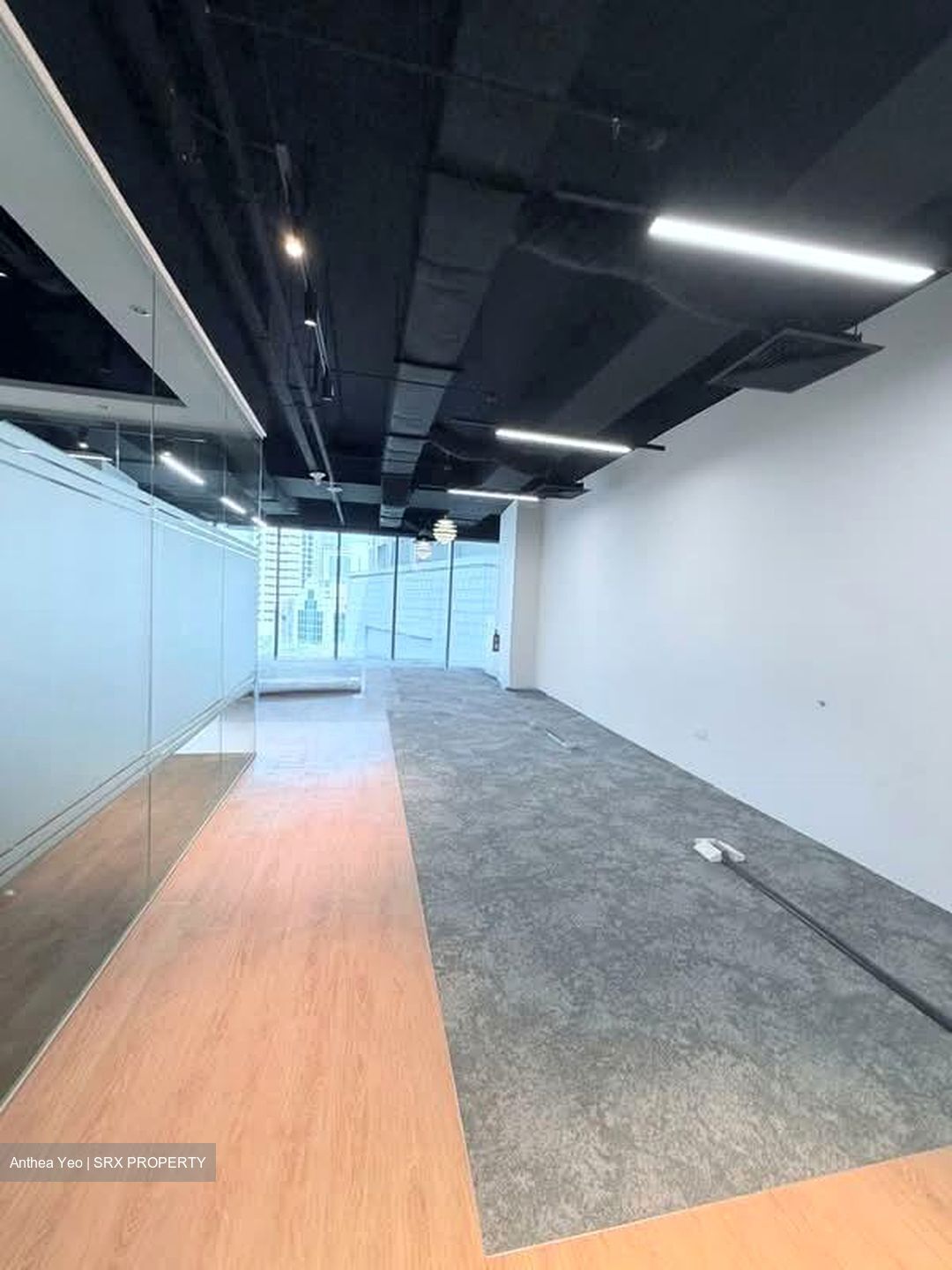 PLUS (D1), Office #597570021